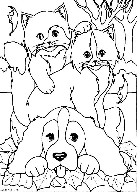 Animals Coloring Page - dog cat | All Kids Network