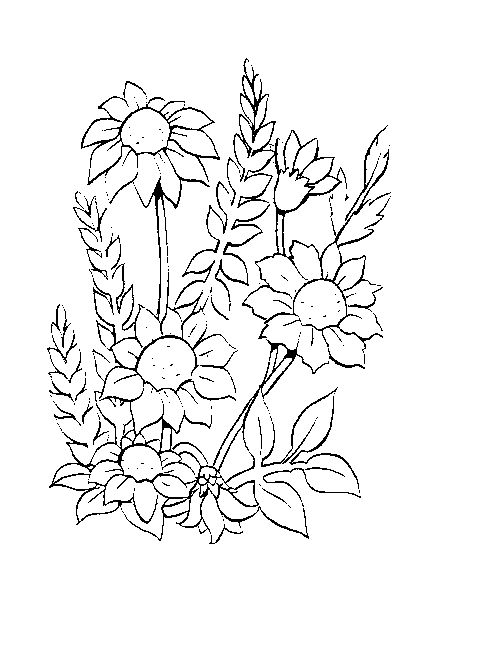 coloring pages of flowers for kids. Flower coloring pages for kids
