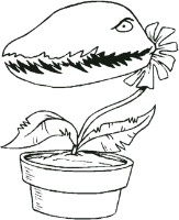 Flowers Coloring Pages - Print Flowers Pictures to Color | All Kids Network