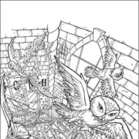 harry potter Coloring Pages | All Kids Network