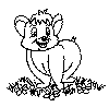 view bear