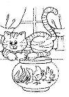 view cat fish.GIF