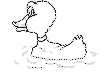 view duck swimming