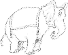 view elephant