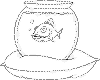 view fish bowl