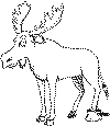 view moose