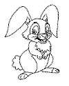 view rabbit bunny.GIF