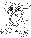 view rabbit cute bunny.GIF