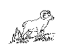 view sheep horn.GIF