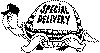 view turtle
