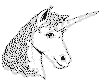 view unicorn facing front