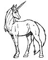 view unicorn