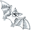 view halloween bat
