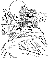 view haunted house coloring page