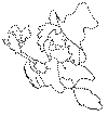 view witch.GIF