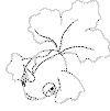 view pokemon 40a.GIF