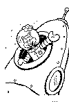 view sandy cheeks rocket