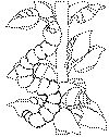 view spring caterpillar