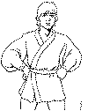 view luke skywalker