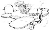 view airplane mouse.GIF