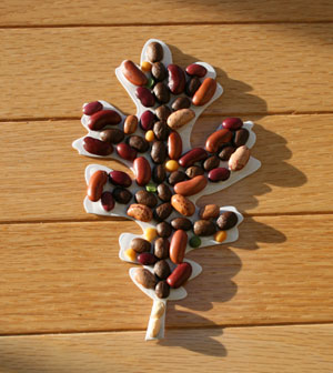 different bean leaf craft