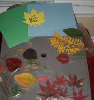 fall leaf book craft