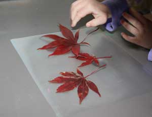 toddler leaves craft