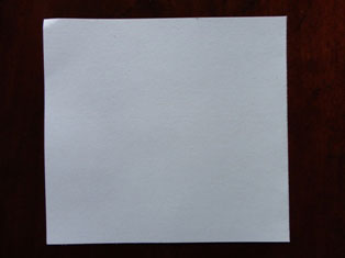 white cardstock
