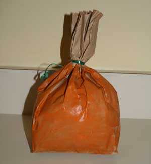 kids pumpkin craft