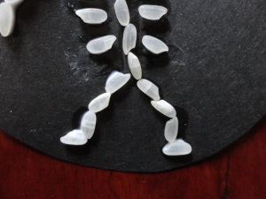 rice skeleton legs