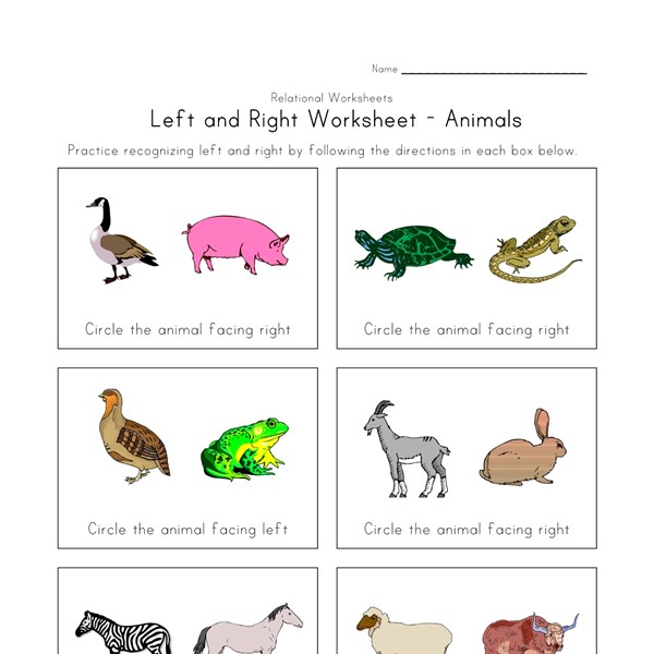 Left and Right Worksheet | All Kids Network
