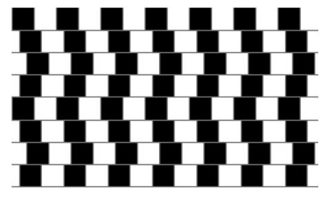Math Crossword Puzzles on Parallel Lines Illusion   Kids Optical Illusions At All Kids Network