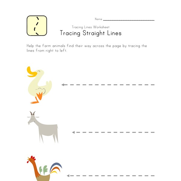 Kids Draw Lines Worksheet | All Kids Network