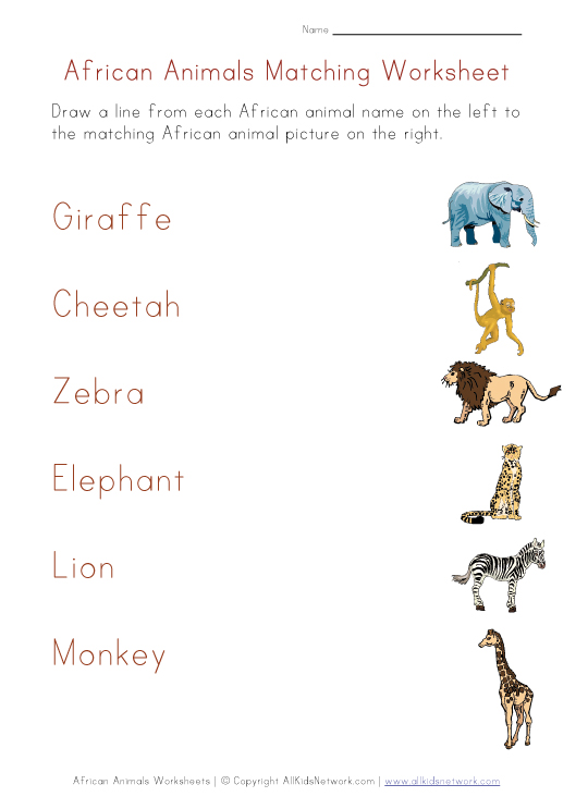 jungle-animals-worksheets-our-english-site