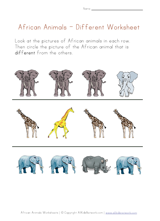 African Animals Worksheet - Different