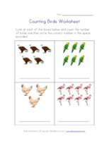 Matching Worksheet - Birds | All Kids Network