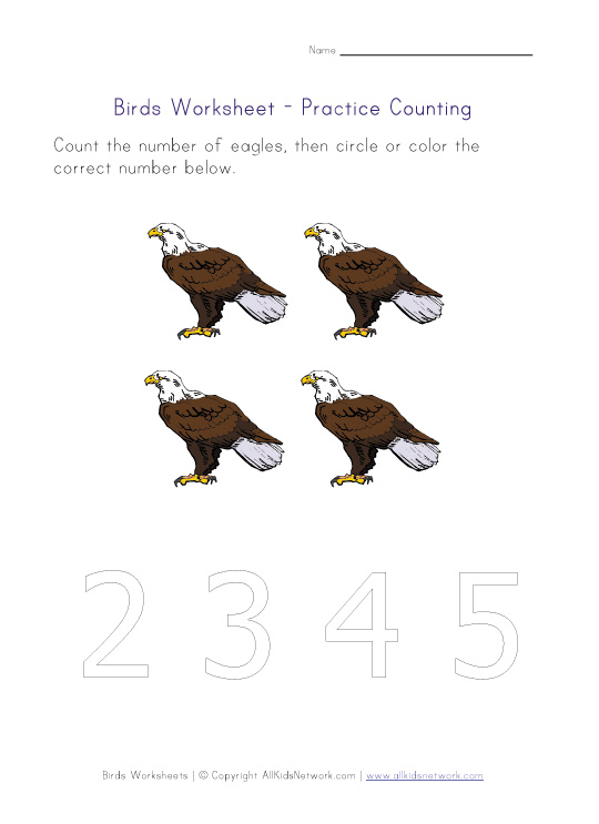 Counting Worksheet - Number Four - Birds Theme