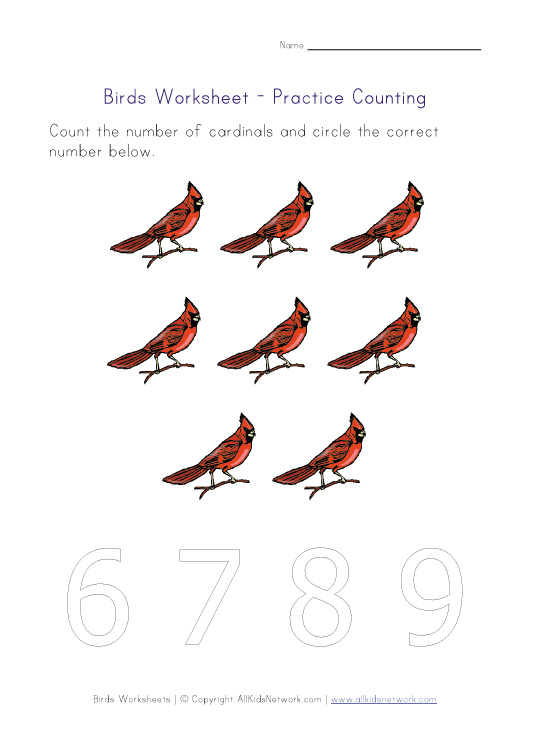 counting-worksheet-number-eight-birds-theme
