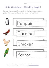 Birds Themed Worksheets for Kids