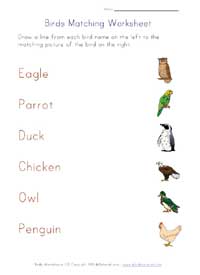 Birds Themed Worksheets for Kids