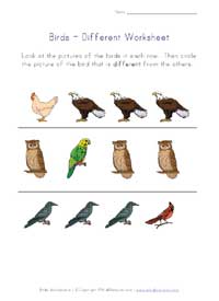 Birds Themed Worksheets for Kids