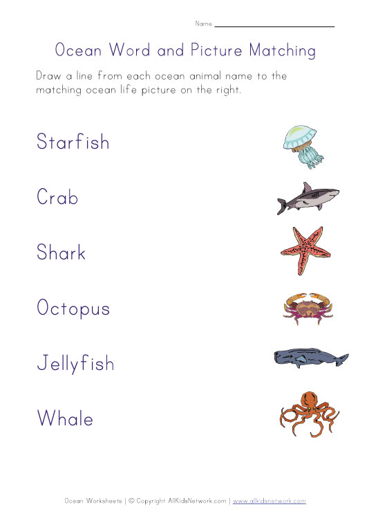 Ocean Life Matching Worksheet