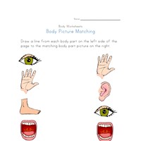 Body Worksheets for Kids | All Kids Network