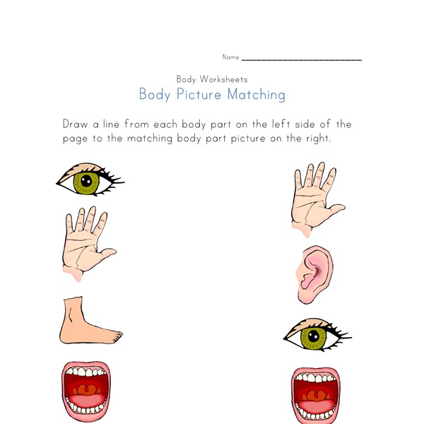 Body Part Picture Matching Worksheet | All Kids Network