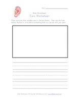 Body Worksheets for Kids | All Kids Network