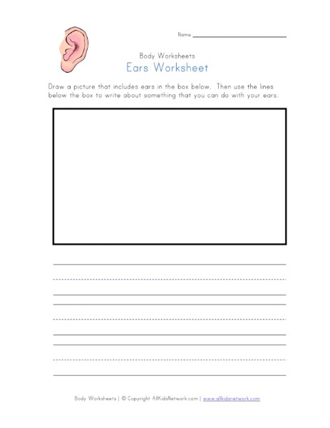 Ears Worksheet All Kids Network