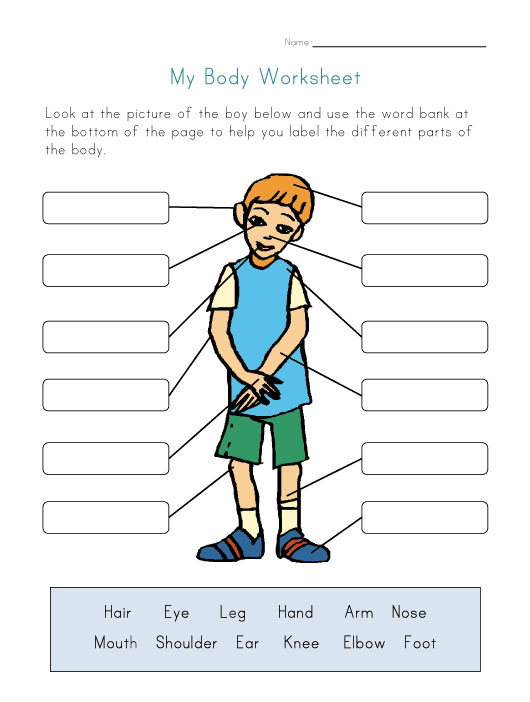 body parts worksheet