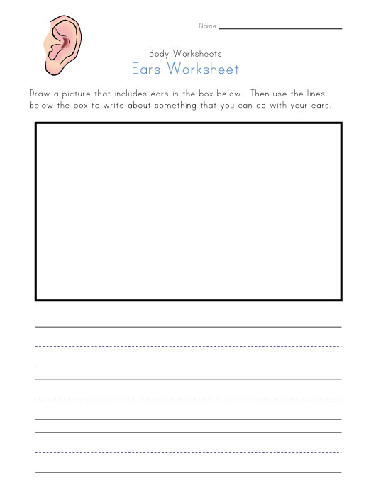 Ears Worksheet