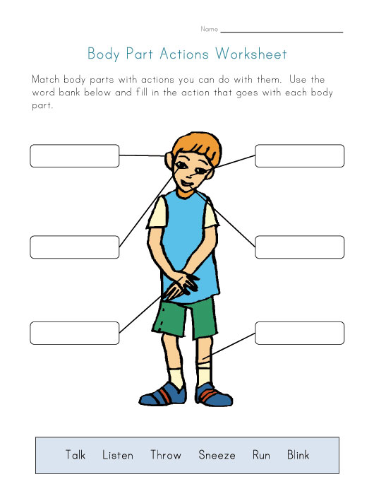 Printable ody flashcards body parts. Printable ody