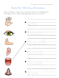 body matching worksheet